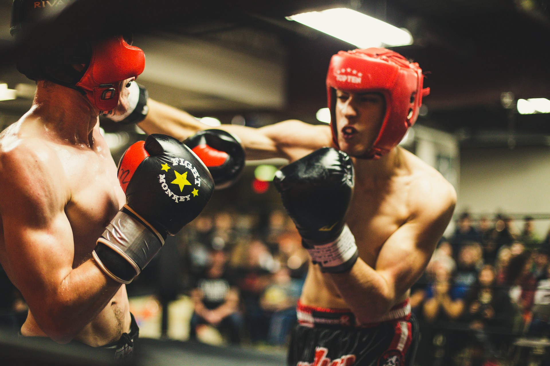 kickboksgym in Haarlem